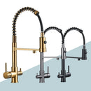 Elegant 3-in-1 Pull-Out Kitchen Faucet