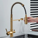 Elegant 3-in-1 Pull-Out Kitchen Faucet