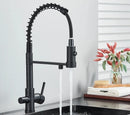 Elegant 3-in-1 Pull-Out Kitchen Faucet