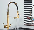 Elegant 3-in-1 Pull-Out Kitchen Faucet