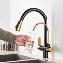 Kitchen Faucet + Filter Water Faucet