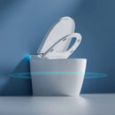 Multifunctional Smart Toilet with Bidet, Heating, Drying, and Massage