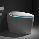 Multifunctional Smart “Egg-Type” Toilet with Bidet, Heating, Drying, and Massage