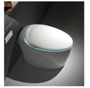 Multifunctional Smart “Egg-Type” Toilet with Bidet, Heating, Drying, and Massage