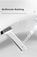 Multifunctional Smart “Egg-Type” Toilet with Bidet, Heating, Drying, and Massage