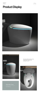 Multifunctional Smart “Egg-Type” Toilet with Bidet, Heating, Drying, and Massage