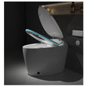 Multifunctional Smart “Egg-Type” Toilet with Bidet, Heating, Drying, and Massage