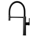 Modern Kitchen Sink Faucet W101