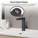 Instant Water Heater Faucet – Briwellna BP21-Black