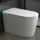 Multifunctional Smart Toilet with Bidet, Heating, Drying, and Massage