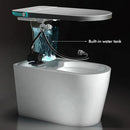 Multifunctional Smart Toilet with Bidet, Heating, Drying, and Massage