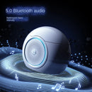 Multifunctional Smart “Egg-Type” Toilet with Bidet, Heating, Drying, and Massage