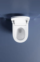 Intelligent Built-In Smart Toilet with Bidet, Heating, and Drying