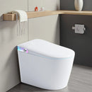 Multifunctional M202 Smart Toilet with Bidet and Massage