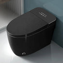 Multifunctional Black Smart Toilet with Bidet and Massage
