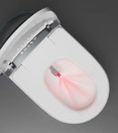 Multifunctional Grey Smart Toilet L9 with Bidet and Drying