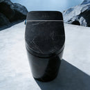 Multifunctional Smart Toilet in Black Marble Finish
