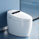 Multifunctional Smart Toilet F03 with Bidet and Massage