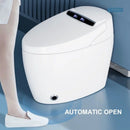 Multifunctional Smart Toilet F03 with Bidet and Massage
