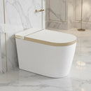 Multifunctional Smart Toilet with Bidet and Heated Seat