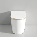 Multifunctional Smart Toilet with Bidet and Heated Seat