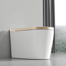 Multifunctional Smart Toilet with Bidet and Heated Seat