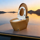 Multifunctional Gold Smart Toilet
