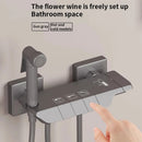 Thermostatic 3-Function Hygienic Shower with Piano Buttons D17