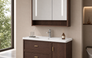 Bathroom Vanity Cabinet with Basin - Model 2806